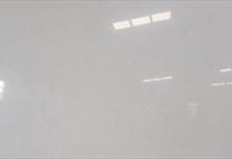 GS Carrara White 2001